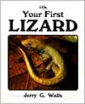Your First Lizard