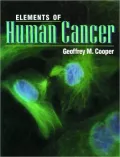 Elements of Human Cancer