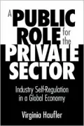 A Public Role for the Private Sector: Industry Self-Regulation in a Global Economy
