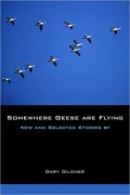 Somewhere Geese Are Flying