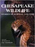 Chesapeake Wildlife: Stories of Survival and Loss