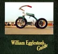 William Eggleston's Guide