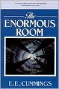 The Enormous Room