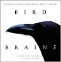 Bird Brains: The Intelligence of Crows, Ravens, Magpies, and Jays