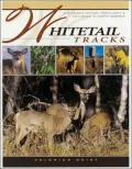Whitetail Tracks The Deer's History & Impact in North America