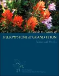 Guide to Plants of Yellowstone and Grand Teton National Parks