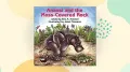 Anansi and the Moss-Covered Rock by Eric A. Kimmel — book cover