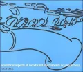 Accoustical Aspects of Woodwind Instruments