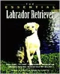 The Essential Labrador Retriever