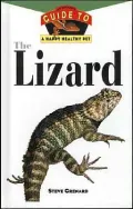 Lizard