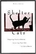 Shelter Cats