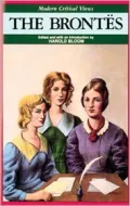 The Brontes (Modern Critical Views Series)
