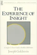 Experience of Insight: A Simple and Direct Guide to Buddhist Meditation