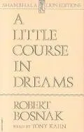 A Little Course in Dreams - Robert Bosnak - Audio