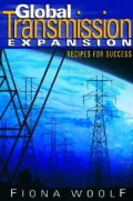 Global Transmission Expansion: Recipes for Success