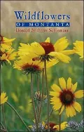 Wildflowers of Montana