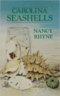 Carolina Seashells