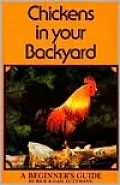 Chickens in your Backyard : A Beginner's Guide: A Beginner's Guide