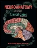Neuroanatomy Through Clinical Cases