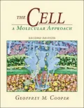 The Cell