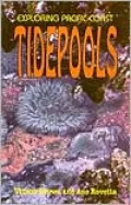 Exploring Pacific Coast Tide Pools