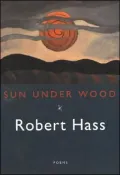 Sun Under Wood