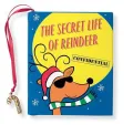 The Secret Life of Reindeer: Confidential