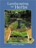 Landscaping With Herbs