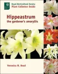 Hippeastrum: The Gardener's Amaryllis