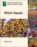 Witch Hazels: Royal Horticultural Society Plant Collector Guide