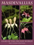 Masdevallias: Gems of the Orchid World