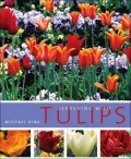 Gardening with Tulips
