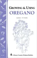 Growing and Using Oregano