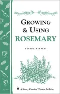 Growing and Using Rosemary