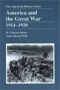 America and the Great War, 1914-1920