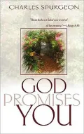 God Promises You