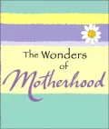 The Wonders of Motherhood (A Little Bit of... Mini-Book Series)