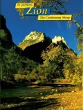 In Pictures Zion: The Continuing Story