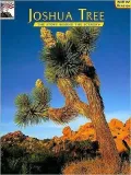 Joshua Tree: The Story Behind the Scenery