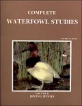 Complete Waterfowl Studies: Volume II: Diving Ducks