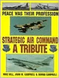 Peace Was Their Profession: Strategic Air Command: A Tribute