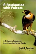 A Fascination with Falcons: A Biologist's Adventures from Greenland to the Tropics