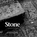 Stone: A Substantial Witness