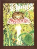 Book cover of Toads and Toadstools: The Natural History, Mythology and Cultural Oddities of This Strange Association