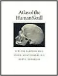 Atlas of the Human Skull