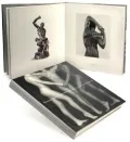 Robert Mapplethorpe and the classical tradition