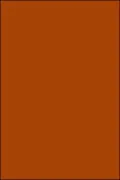 The End Of The Practical Man