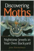 Discovering Moths: Nighttime Jewels in Your Own Backyard