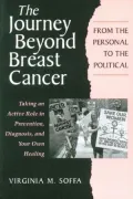 The Journey Beyond Breast Cancer : From the Personal to the Political Taking an Active Role in Prevention, Diagnosis, and Your Own Healing