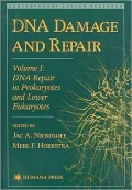 DNA Damage and Repair Vol. I: DNA Repair in Prokaryotes and Lower Eukaryotes